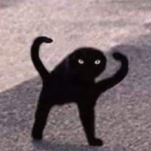 Meet your Posher, Regina